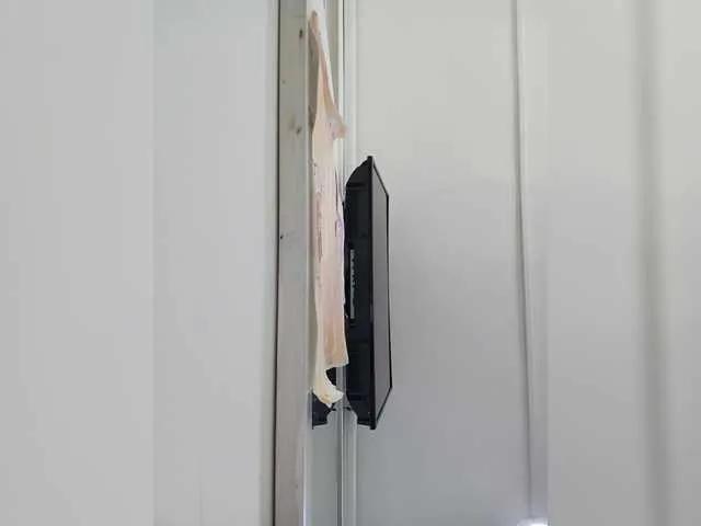 ElizHarper on BongaCams