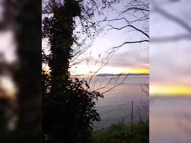 TerriRose on BongaCams