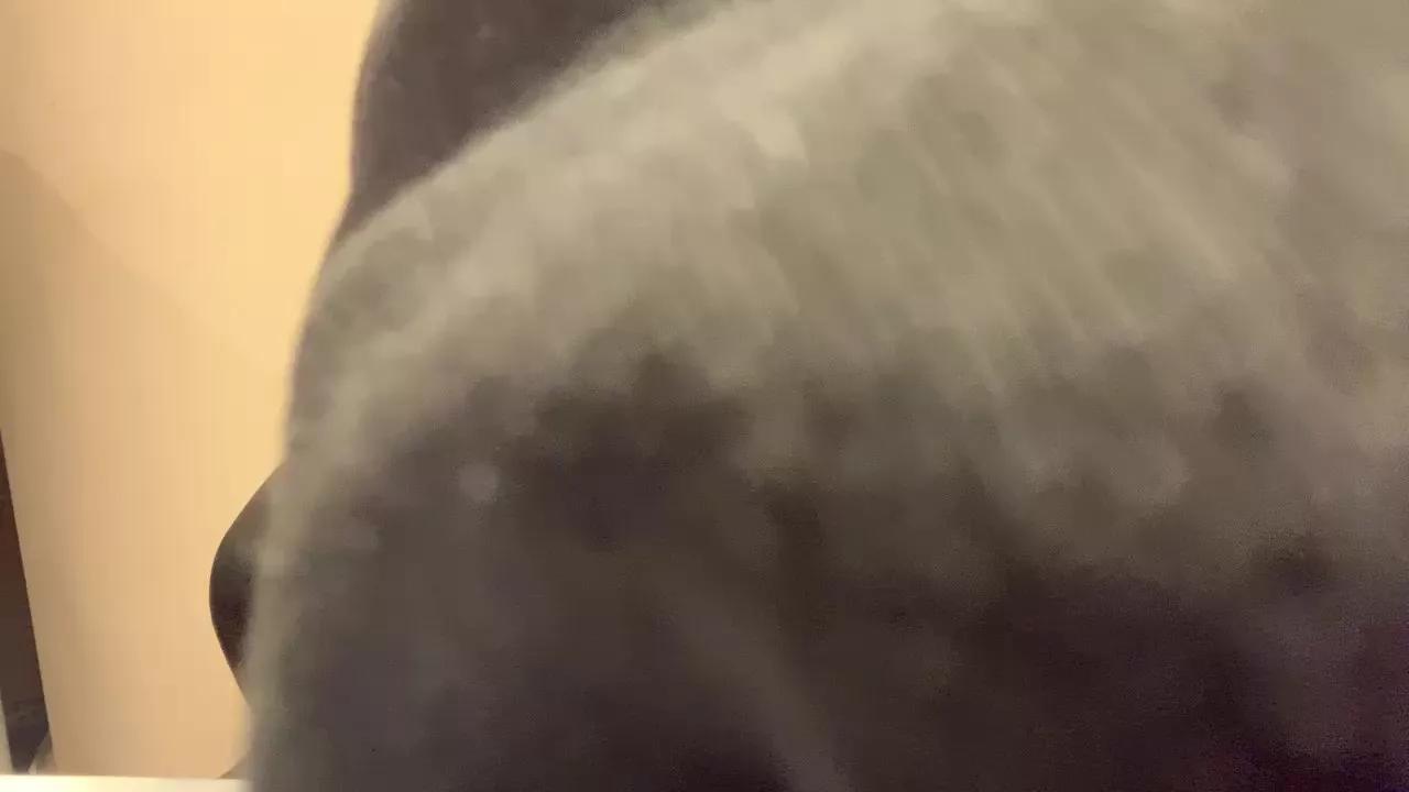 Daddy_lover99 on Cam4 