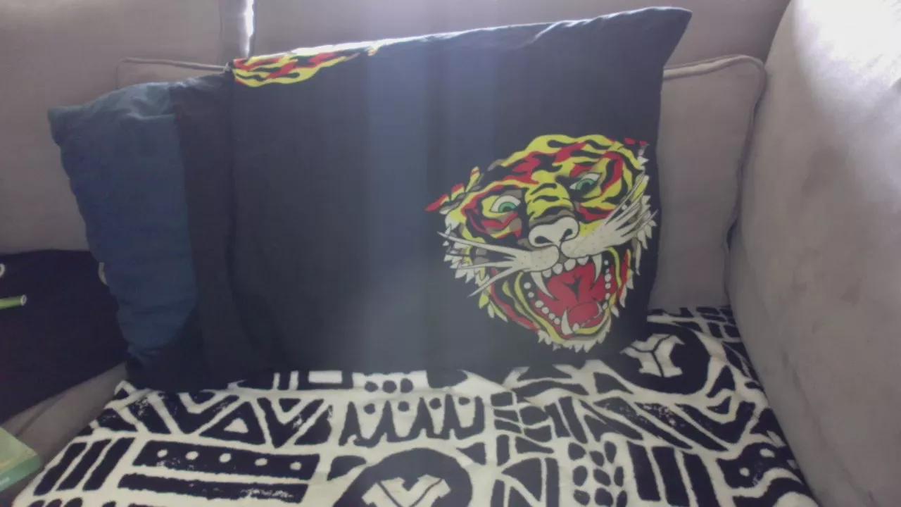 Dutchversaguy on Cam4 