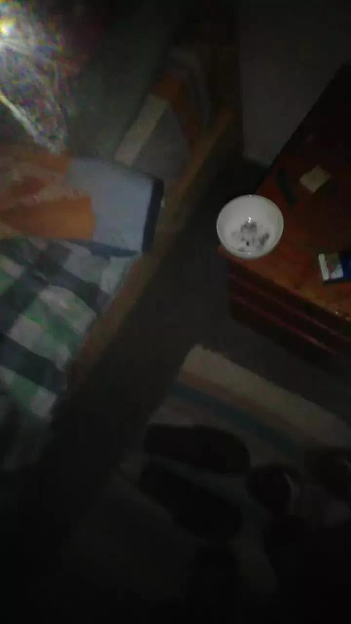 facor1 on Cam4 