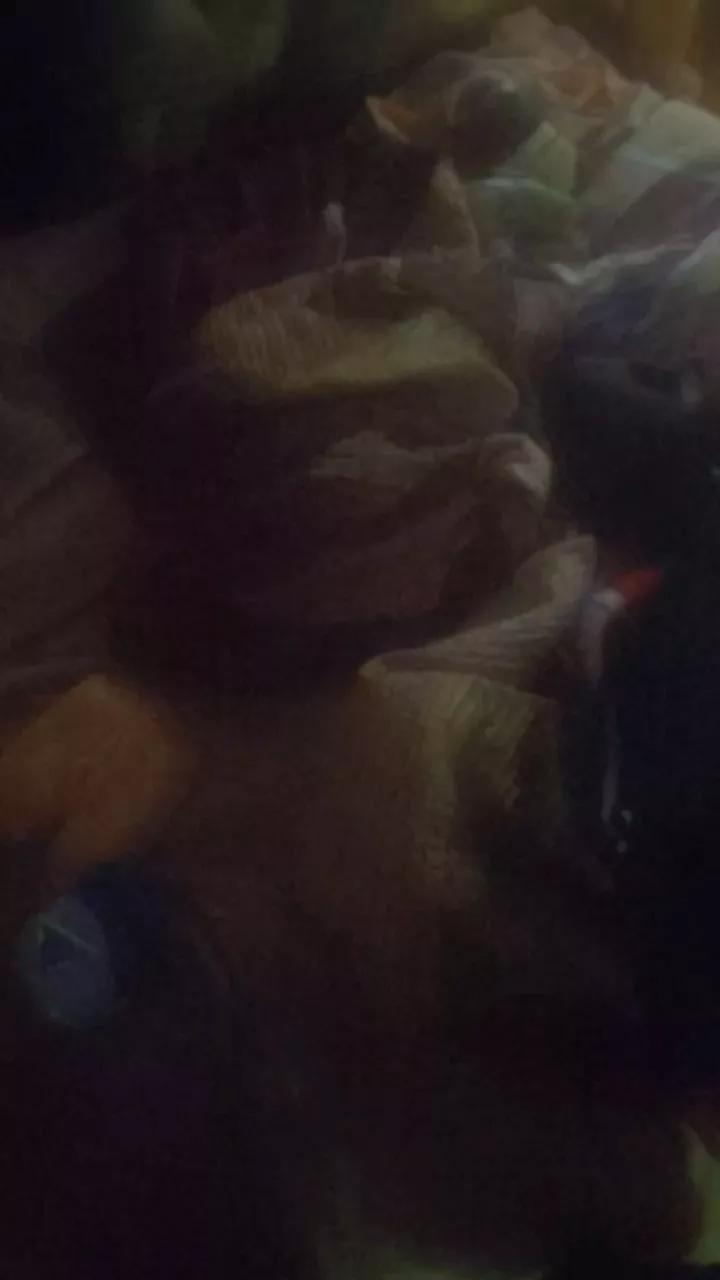 Misterteaser on Cam4 