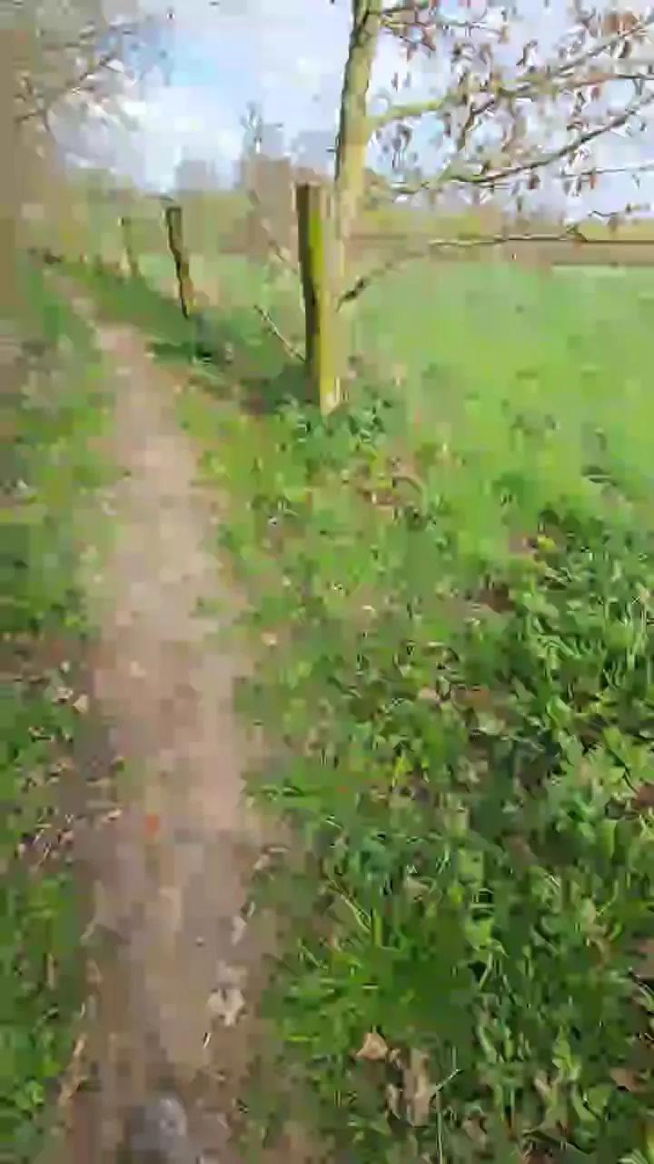 monsterlover on Cam4 