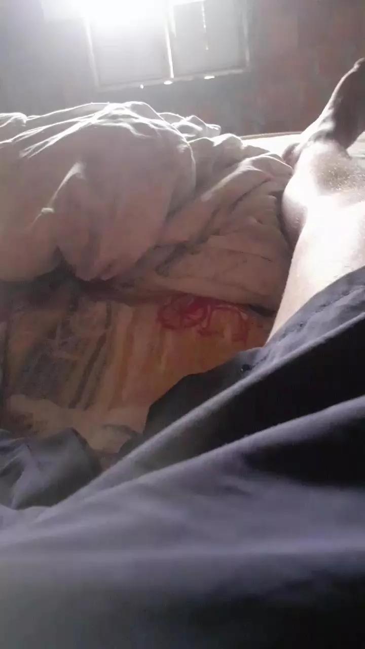 pauzudo721 on Cam4 