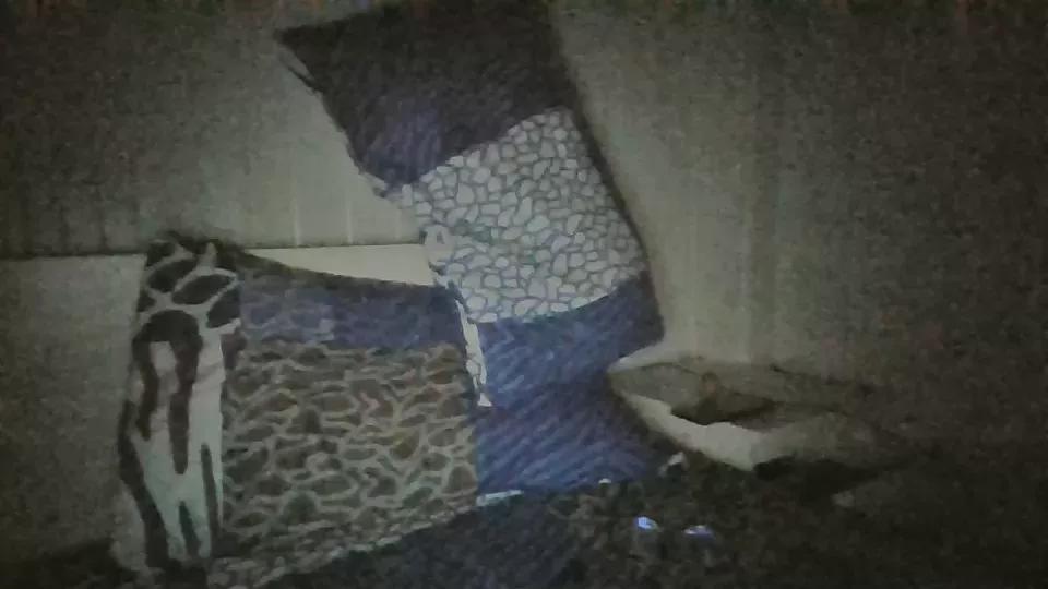sex20241 on Cam4 