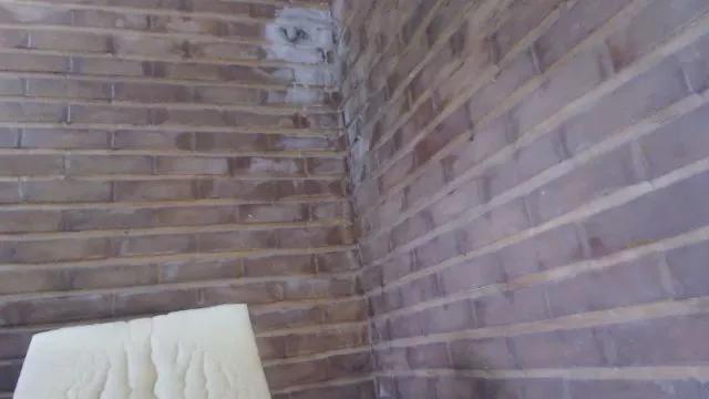 yvy_zotz on Cam4 
