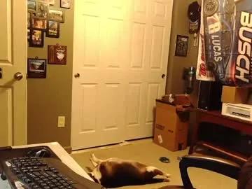 indianapapa on Chaturbate