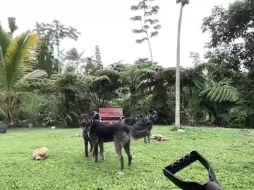 kaileeshy on Chaturbate