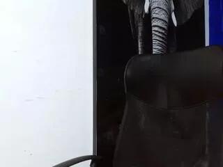 angel_falconer on Flirt4Free 