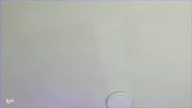 AlliJadid on StripChat 