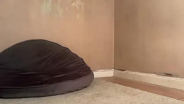 jennytwinkle69 on StripChat 