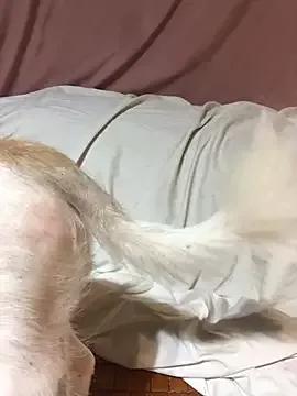 misu09 on StripChat 