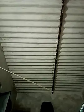 Payal950 on StripChat