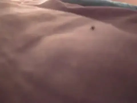 SatiroyNinfa on StripChat